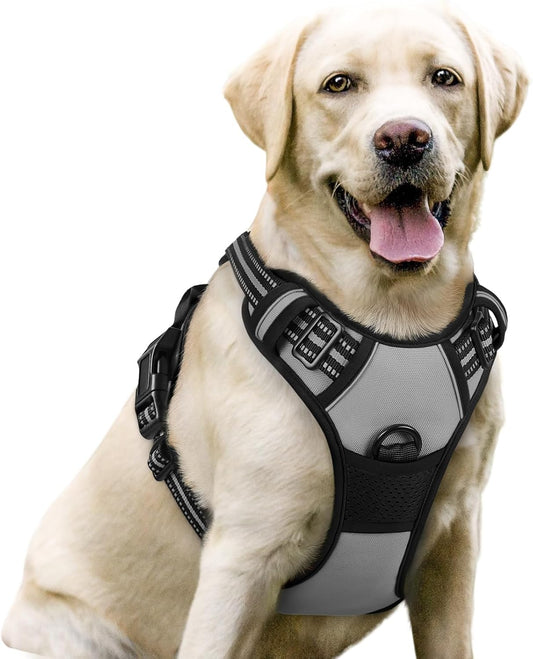 rabbitgoo Dog Harness No Pull with 2 Leash Clips, Adjustable Soft Padded, Reflective Oxford No Choke Pet Vest with Easy Control Handle for Large Dogs, Grey, L