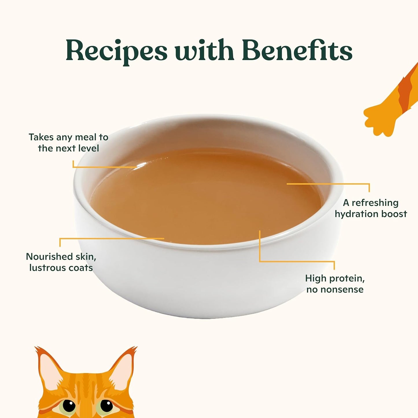 Made by Nacho Bone Broth Cat Food Topper for Hydration and Picky Eaters - Add Protein and Flavor to Your Dry Cat Food – 11 oz. (Pack of 4), Variety Pack