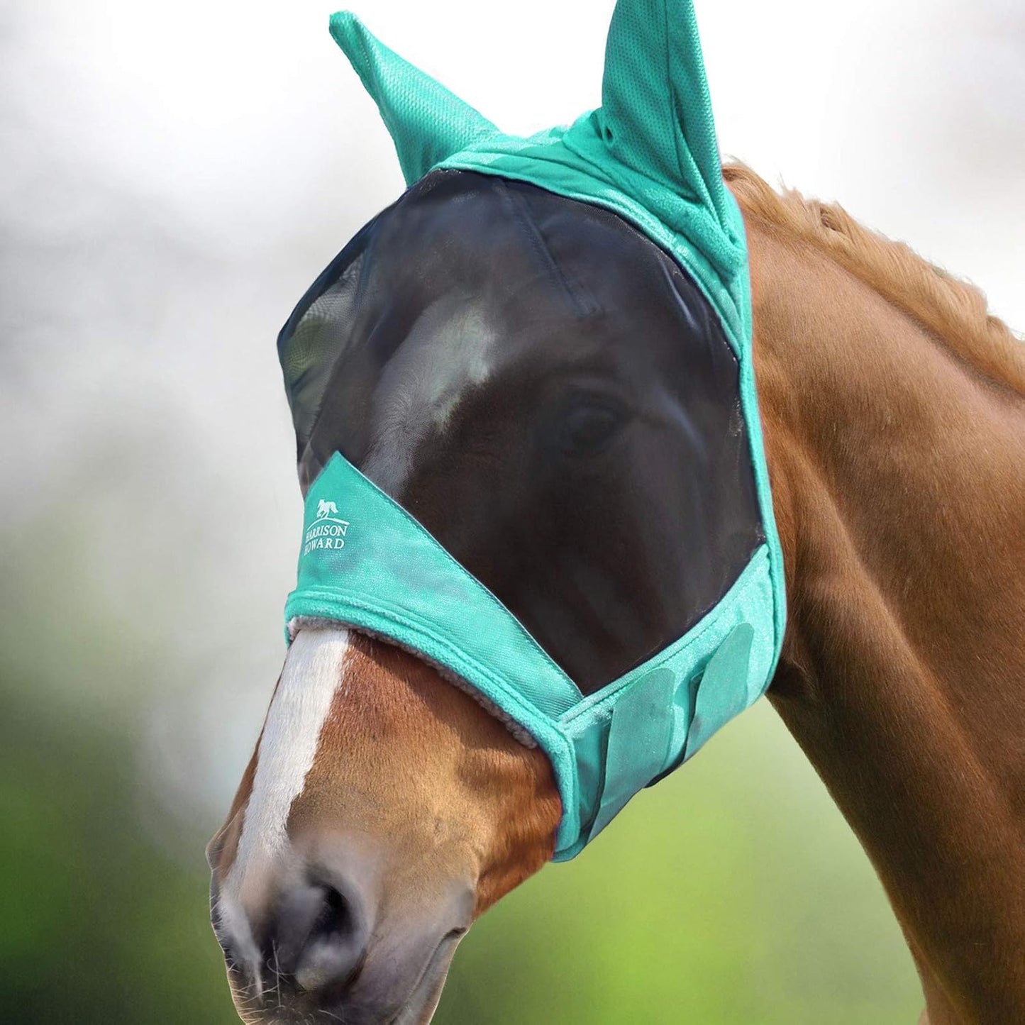 Harrison Howard CareMaster Pro Luminous Horse Fly Mask Large Eye Space Standard with Ears UV Protection for Horse Summer Mint M Cob