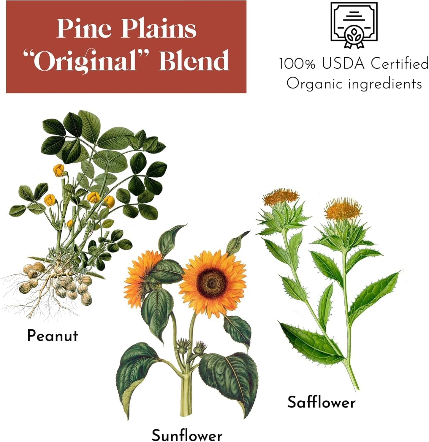 Flying Colors Premium Organic Wild Bird Seed | Pine Plains Original for Outside Feeders | 100% USDA Organic | No Fillers, No Pesticides | Sunflower, Peanut, Safflower | 3 Gallon