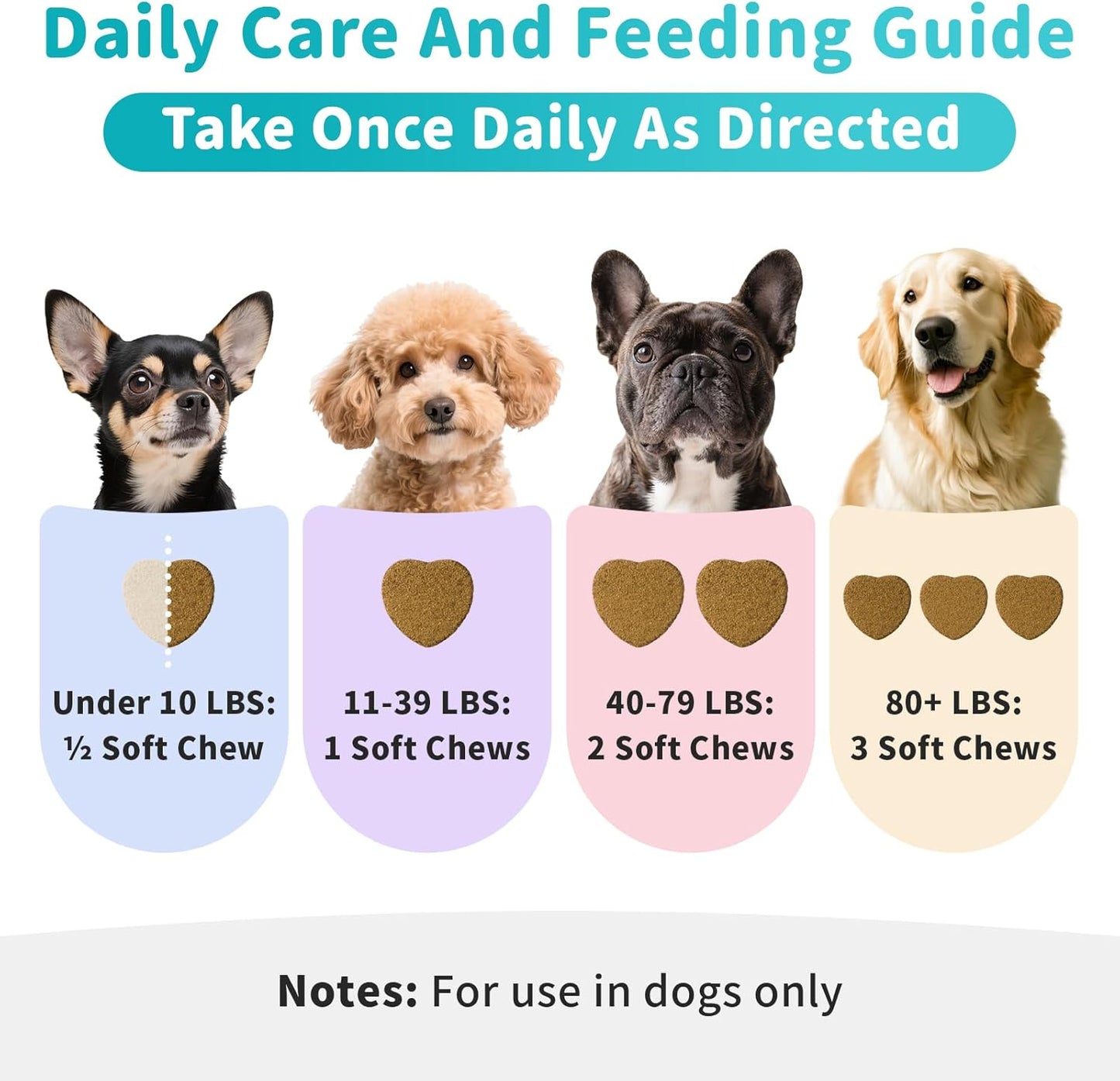 Dog Skin & Allergy Chews - Dog Probiotics for Sensitive Skin Health Support - Allergy Relief - Support Seasonal Allergies, Immune & Gut & Digestive Health Supplement - Beef Flavor - 90 Count