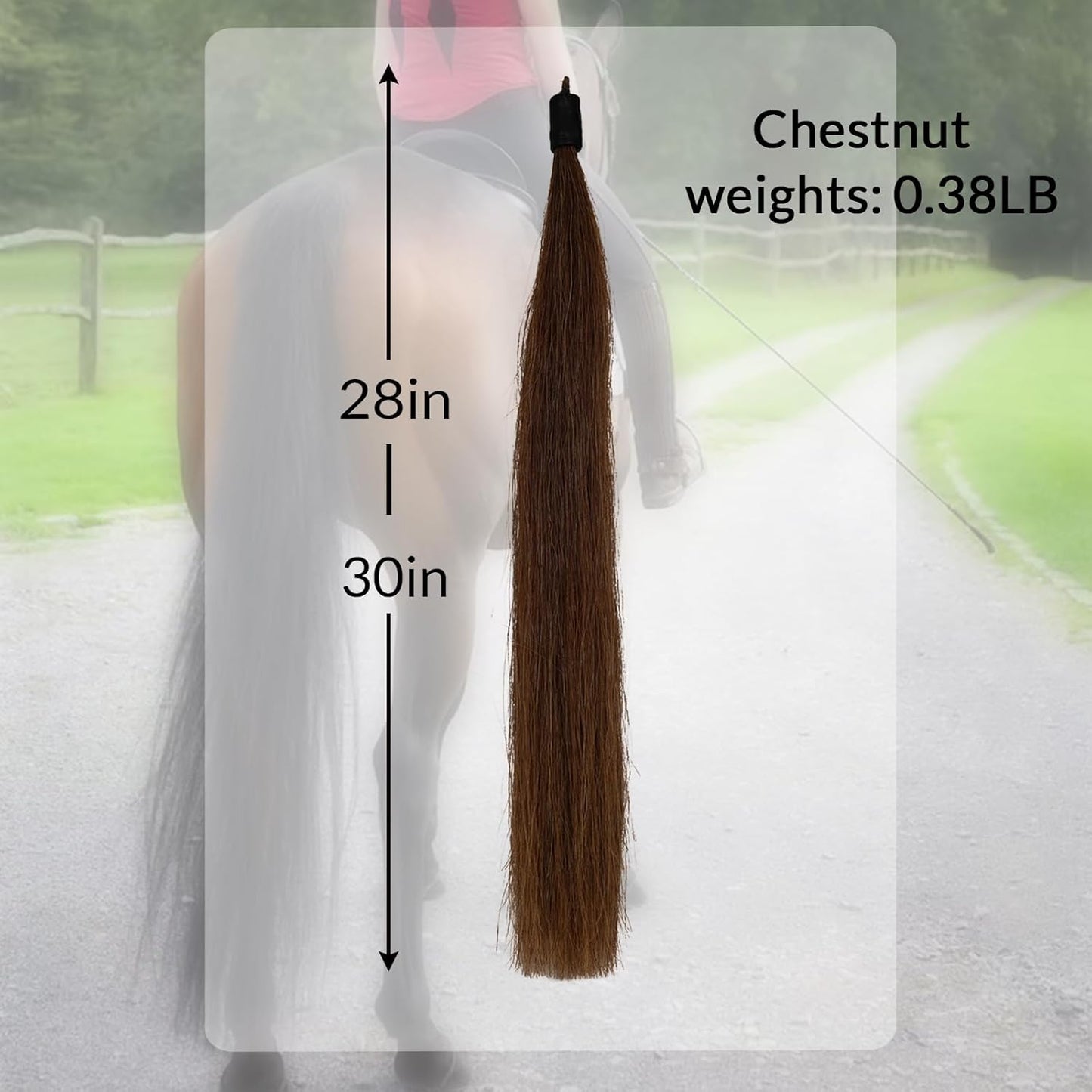 Horse Tail Extension with Braided Horsehair Loop, Blunt Cut Bottom, 3/8 lb, 28-30 inches (drak Chestnut)