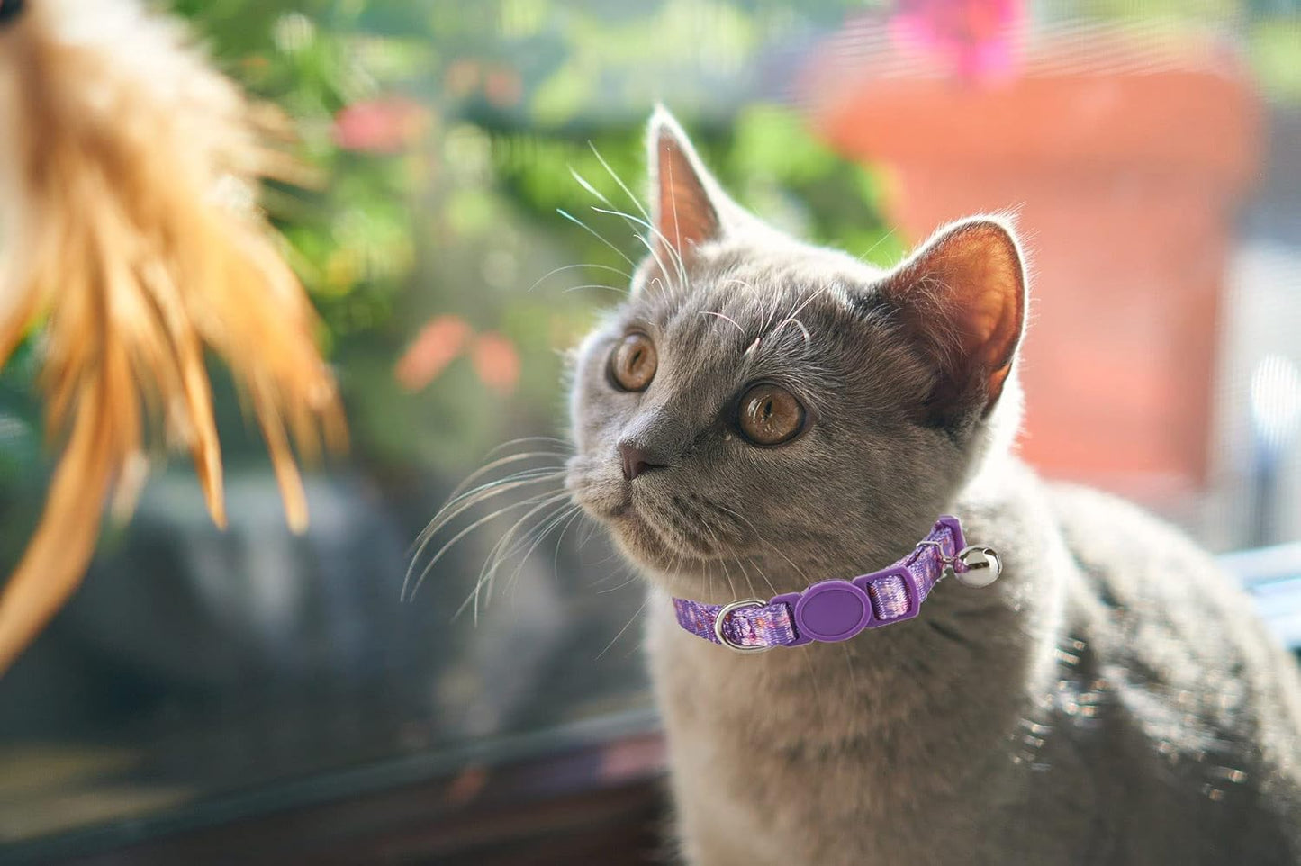 2 Pack Floral Cat Collars Breakaway Kitten Collar with Bell Adjustable Cute Kitty Collar for Female Cats Pink Purple