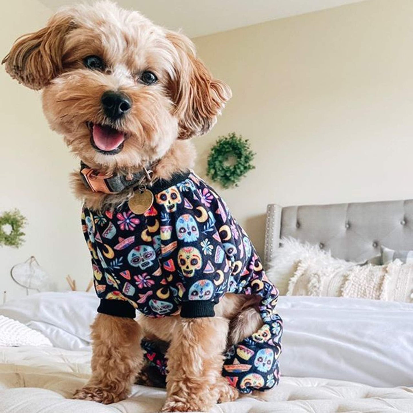 CuteBone Small Dogs Outfit Soft Puppy Onesies Pjs Dog Pajamas Pet Coat Cat Apparel Comfy Doggie Jumpsuit Bodysuit for All Seasons P73XS