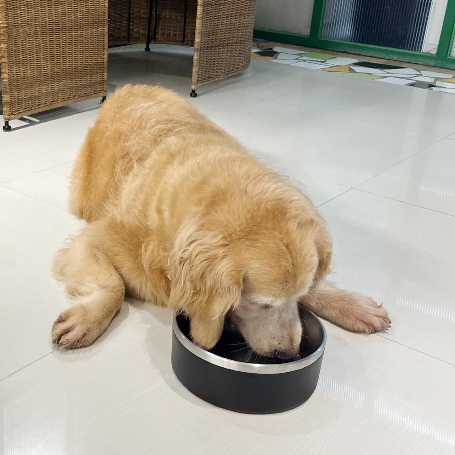 Stainless Steel Dog Bowls, Metal Dog Bowls, Water Bowl for Dogs, Dog Food Bowls, Pet Bowls for Dogs, Dog Dish for Large Dogs, Insulated Dog Bowl, Non Slip Dog Bowl, Easy to Clean, 40oz,Black