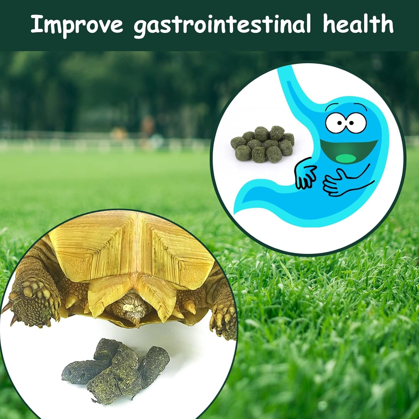 Timothy Hay Cubes 90 oz (9 * 10 oz) with Small Size - Timothy Grass Pellets for Tortoises Rabbits Guinea Pig Chinchilla