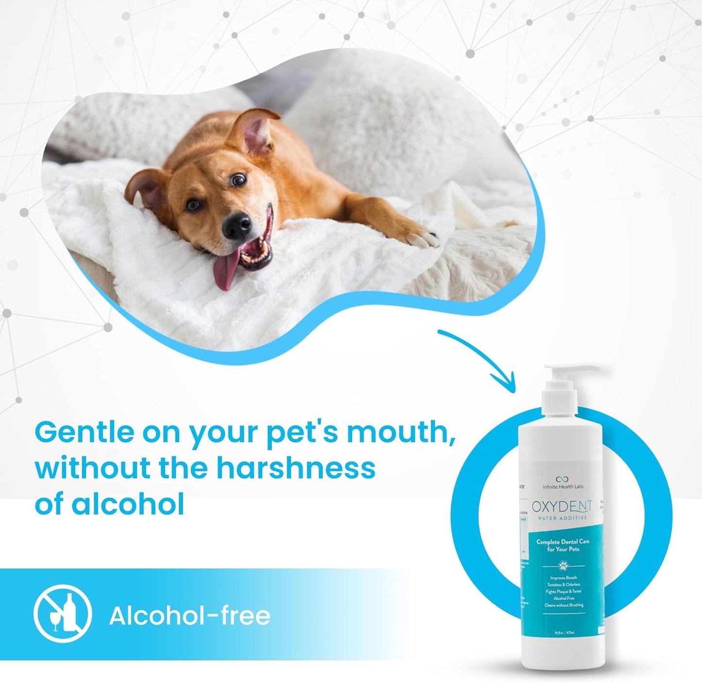 Oxydent Premium Pet Dental Care Solution - Pet Water Additive & Mouthwash for Teeth Cleaning - Eliminate Bad Dog & Cat Bad Breath - Dog Dental Rinse - Fights Tartar & Plaque