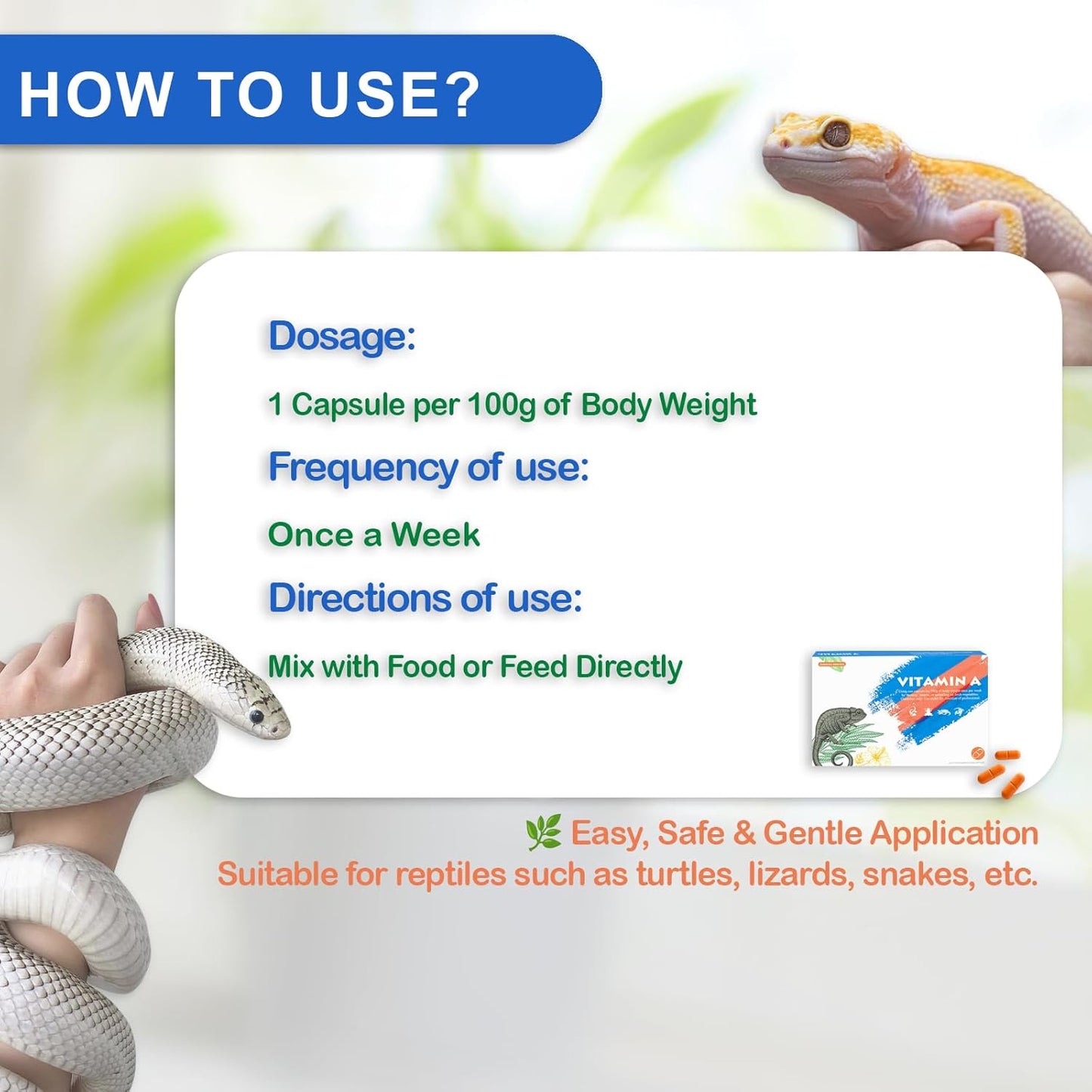 Reptile Vitamin A Supplement – Eye Health Support for Lizards, Turtles, Snakes & Amphibians – Promotes Growth, Vision & Immunity