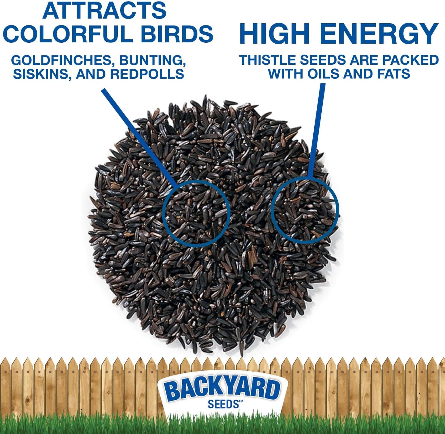 CountryMax Thistle Wild Bird Seed 40 lb – Premium Quality, 100% Clean, No Debris – Attracts Finches & Small Songbirds