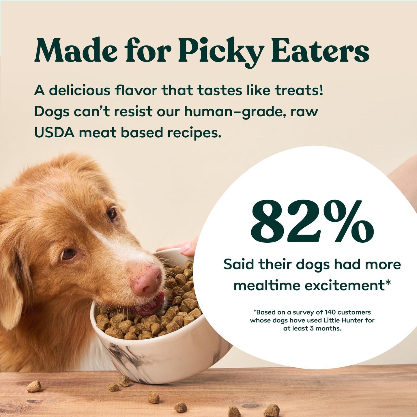 Little Hunter Freeze Dried Turkey Raw Dog Food | Grain Free, Limited Ingredient, Single Protein Meal or Mix in Topper | Novel Protein Kibble Alternative | 15 oz Bag