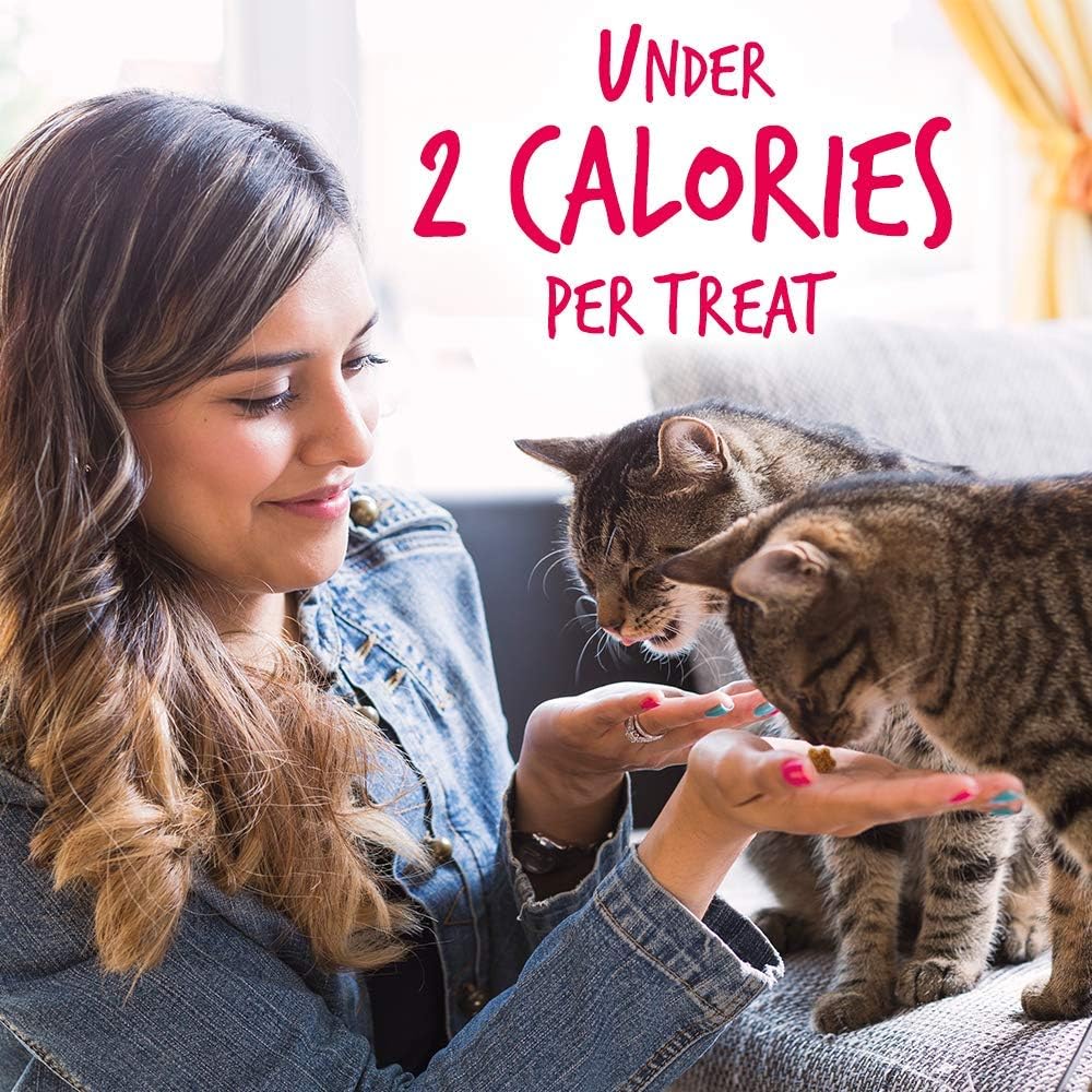 Fruitables Cat Treats Crunchy Cat Treats, Healthy Low Calorie Kitten Snacks, Made Without Wheat, Corn and Soy, Kitten Essentials, Made with Real Salmon and Cranberry, 30 Ounces