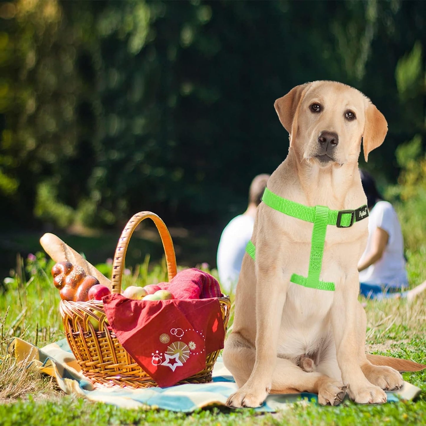 PUPTECK No Pull Dog Harness Soft Adjustable Basic Nylon Step in Puppy Vest Outdoor Walking with ID Tag, Green, L