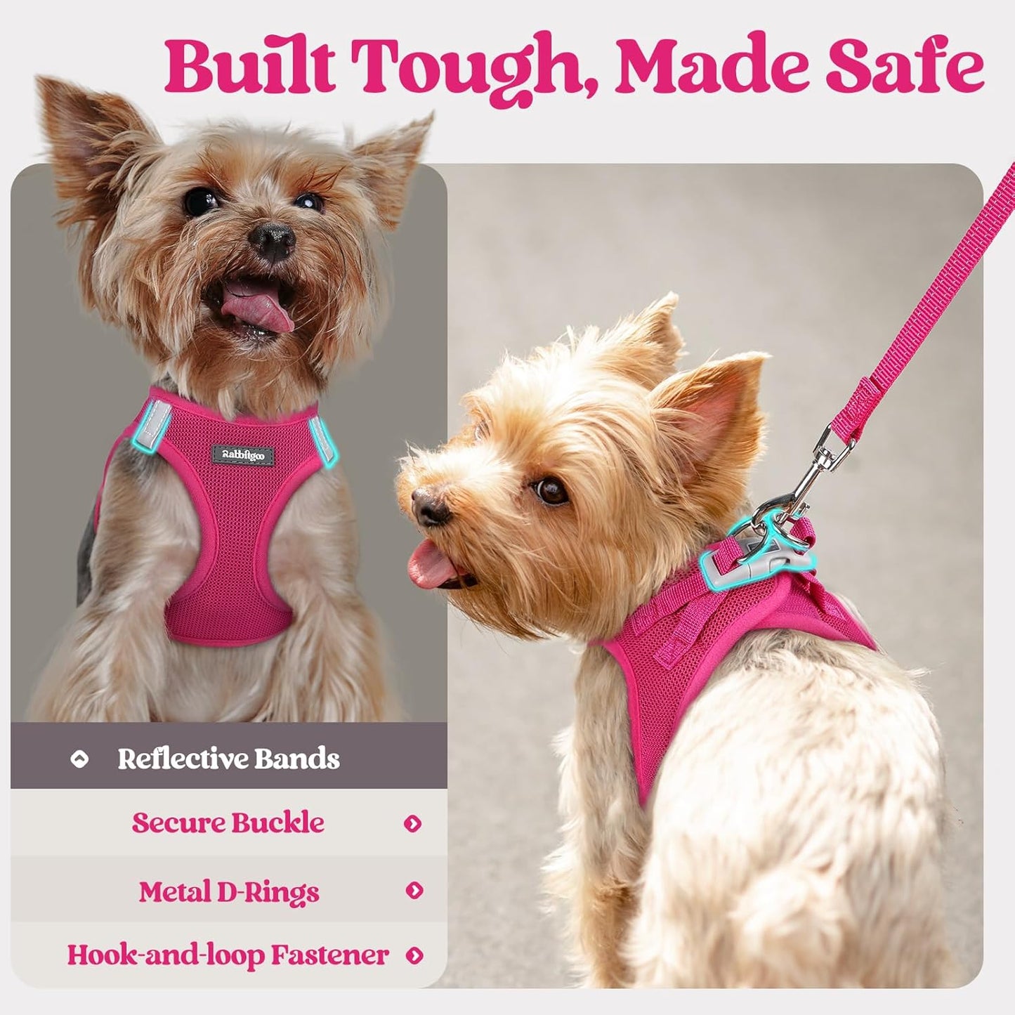 rabbitgoo Dog Harness Small Sized and Leash Set, Step in Soft Light Puppy Vest, Breathable Mesh Pet Harness, Reflective for Safe Easy Walking, Rose Red S