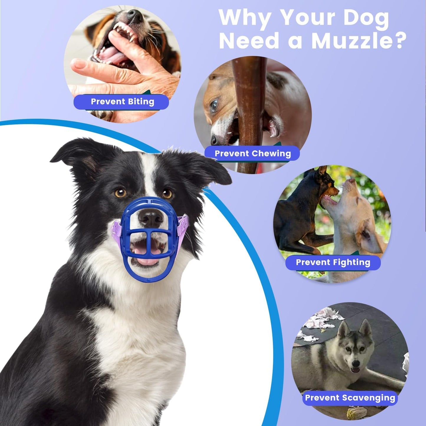 Basket Muzzle Allows Panting Drinking - Anti Biting Chewing, Suitable for Grooming Trimming Training, for Small Medium Large Dogs (Blue, Size 6)