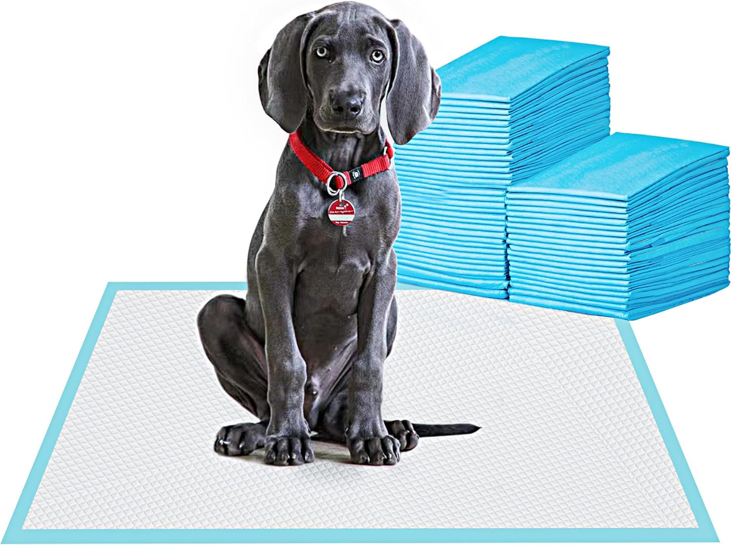 Large Pet Training and Puppy Pads Pee Pad for Dogs 24"x24"-80 Count Super Absorbent & Leak-Proof