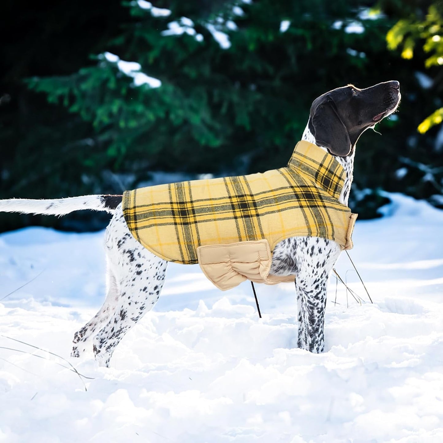 Kuoser Waterproof Dog Coat, Reversible Dog Jacket for Large Dogs, Adjustable Durable Doggie Winter Coat for Groowing Puppies Warm Puppy Cold Weather Apparel, Yellow L