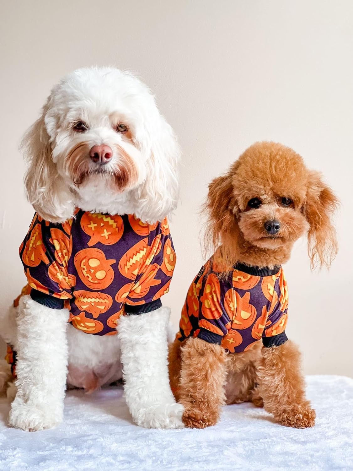 Fitwarm Halloween Pumpkin Dog Pajamas, Funny Dog Winter Clothes for Small Dogs Girl Boy, Pet Jumpsuit, Cat Halloween Costumes with Feet, Lightweight Velvet, Black, Orange, XL