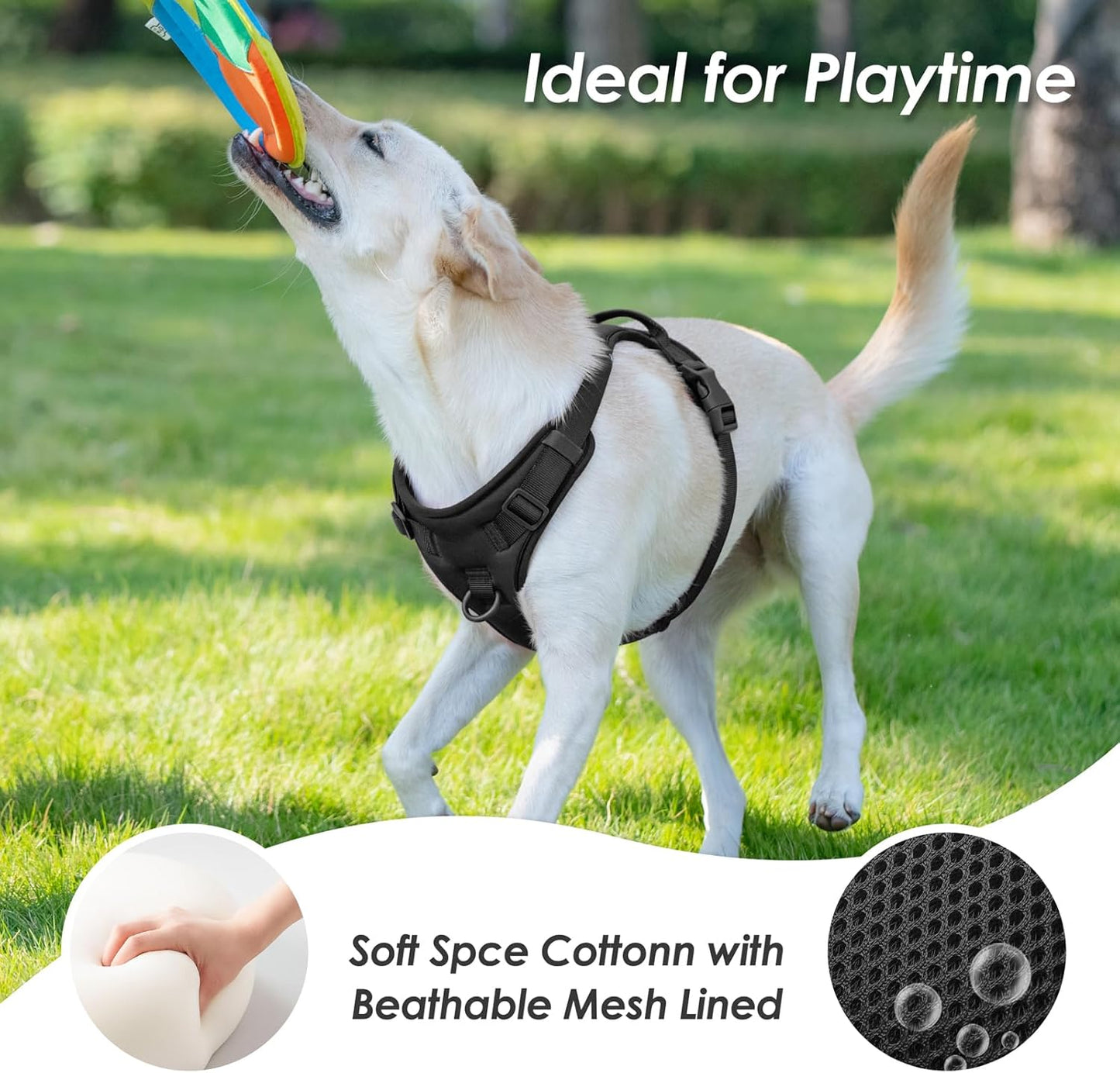 No Pull Dog Harness, Puppy Vest with Front Clip for Small Medium Large Sized Dog(Black,XL)