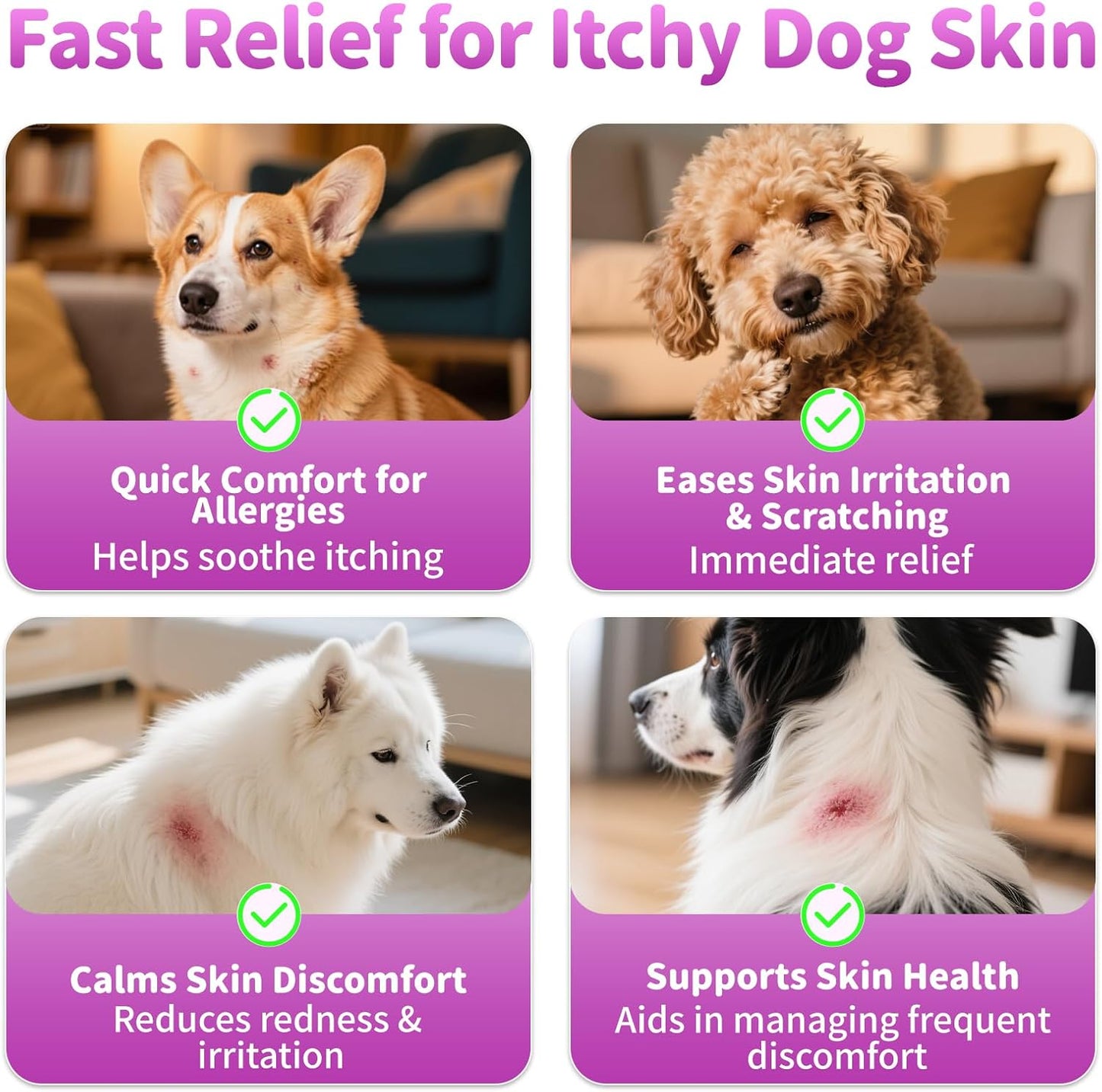 Dog Allergy Relief Chews, Itch Relief for Dogs – Turmeric & Omega-3 Supplements for Skin Comfort, Coat Health & Seasonal Support, Immune Care with Biotin & Quercetin – Beef Flavor, 90 Count