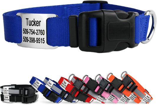 GoTags Personalized Dog Collar with Nameplate, Adjustable Dog Collar with Custom Engraved Slide On Pet ID Tag in Stainless Steel, Silent, No Noise Dog Tag for Large Medium and Small (Blue, X-Small)