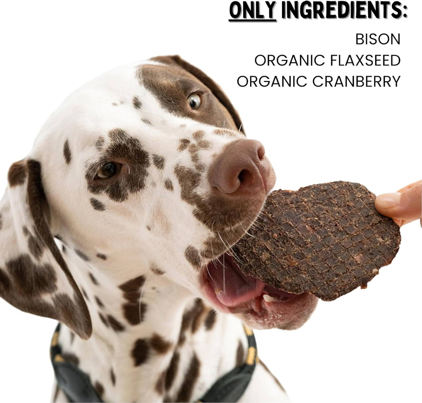 Winnie Lou Bison Burger Jerky Dog Treats – Limited Ingredient, Human Grade, Training Treats for Small, Medium & Large Dogs, Made in USA (2 Pack)