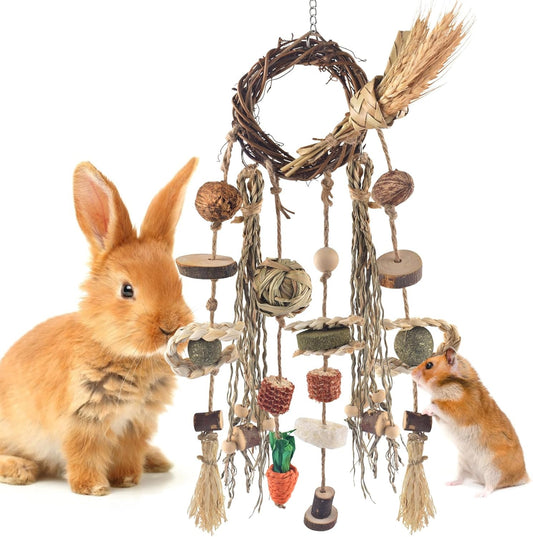 Bissap Bunny Chew Toy, Rabbits Cage Hanging Chew Toys and Treats Rattan Ring with Snacks Water Grass Wooden Block Carrot for Guinea Pigs Chinchillas Hamsters Rats and Other Small Pets Teeth Grinding