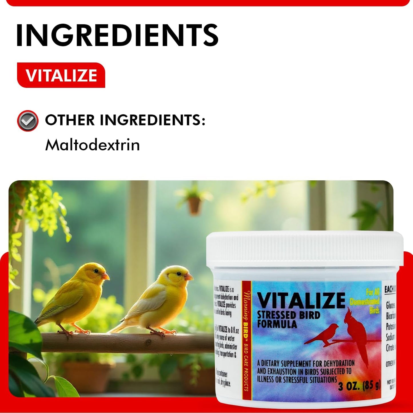 Morning Bird Vitalize, Supplement for Sick, Injured, or Stressed Caged Birds; Dehydration and Exhaustion Treatment for Parakeets, Cockatiels, Budgies, Finches, Canaries, and Parrots, 3 oz