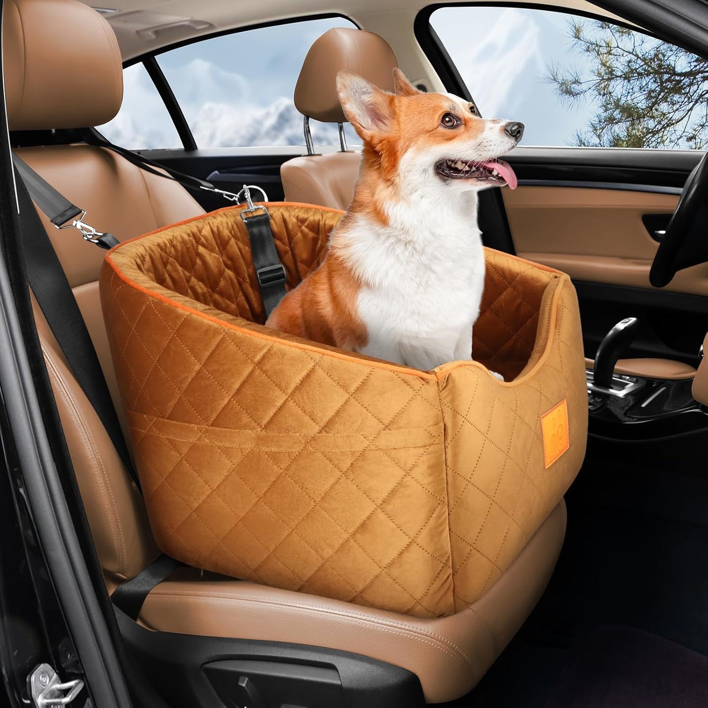 Dog Car Seat for Small Dogs, Memory Foam Booster Dog Seat for Dogs up to 35 lbs, Elevated Pet Car Seat with Washable Removable Cover, Storage Pockets