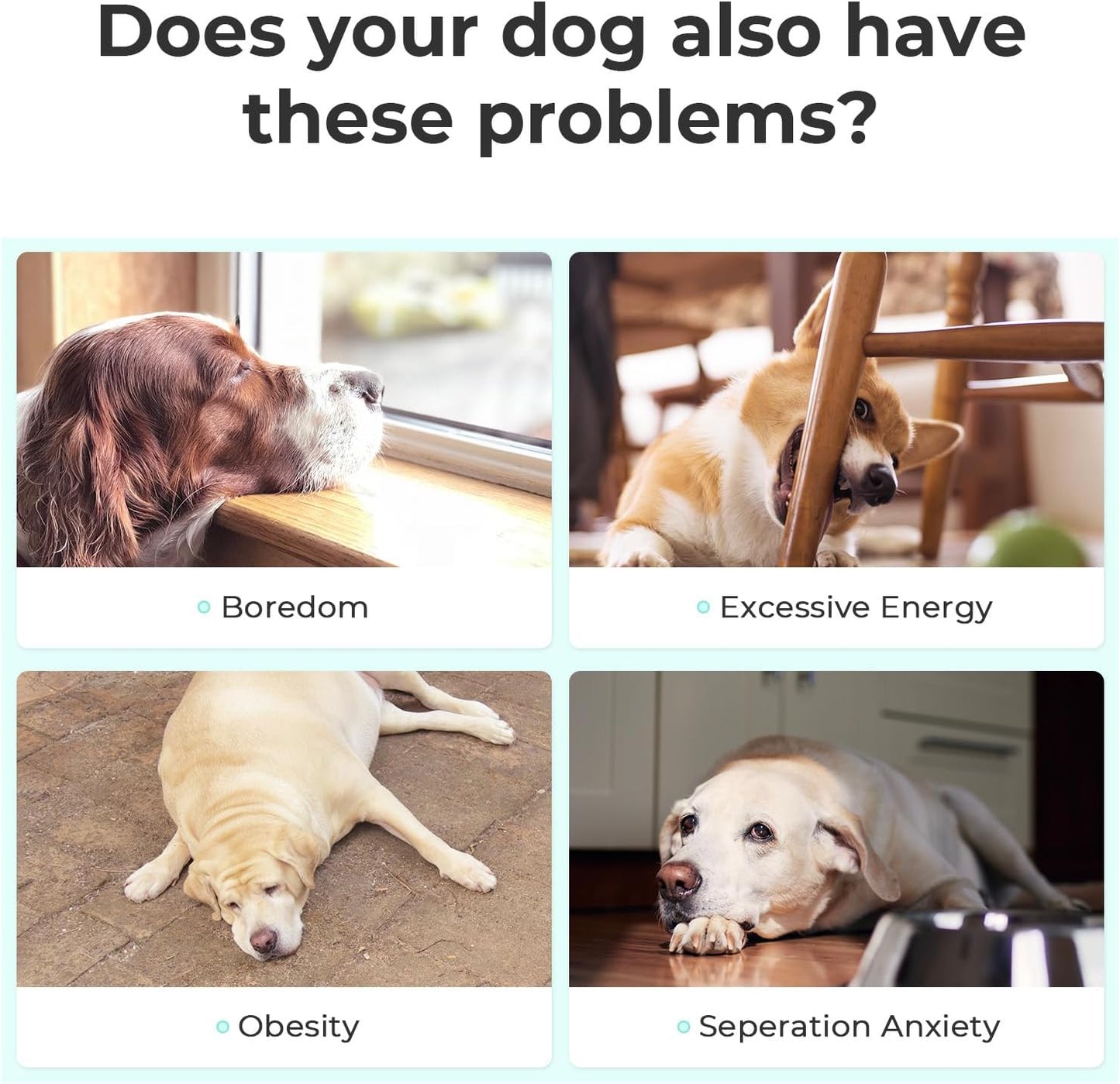 Interactive Dog Toys, Wicked Ball SE, 3 Interactive Modes,Enhanced Rubber Active Rolling Dog Toy with LED Lights for Small Medium Dogs, Motion-Activated Dog Stimulation Toy for Boredom Relief