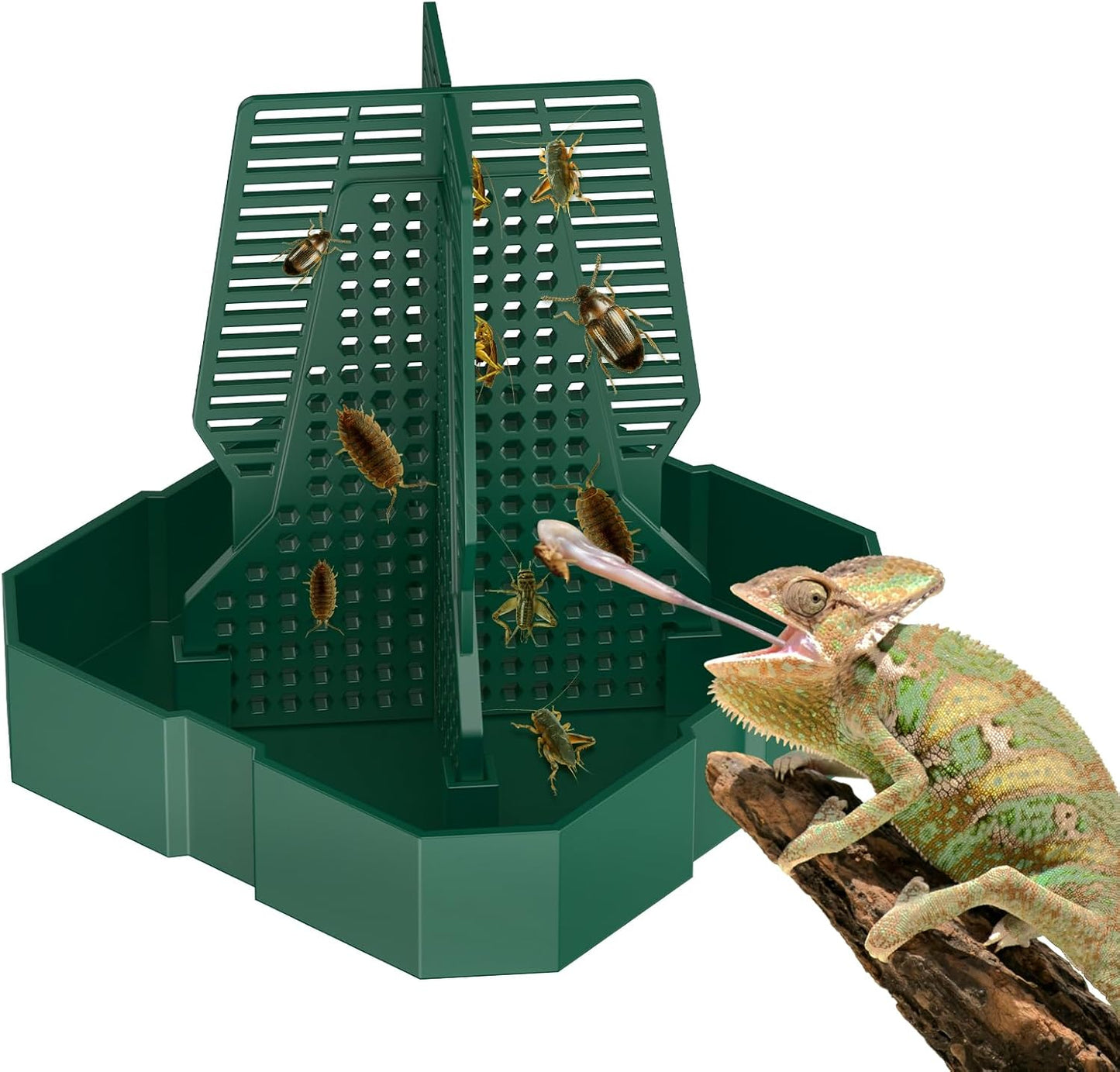 Pawfly Reptile Feeder Box, Chameleon Feeding Bowl, Climbable Chameleon Feeder, Bearded Dragon Food Keeper, Insect Container for Lizards, Geckos, and Frogs
