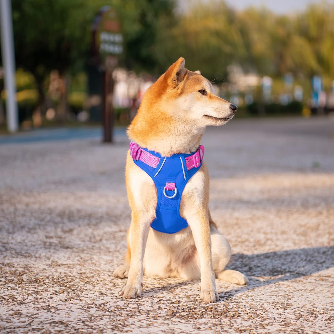 PHOEPET No Pull Dog Harness, Unique Colors Reflective Adjustable Dog Vest, with Soft Training Handle Metal Clips for Small Medium Large Dogs (Royal Blue Base & Pink Straps,XL)