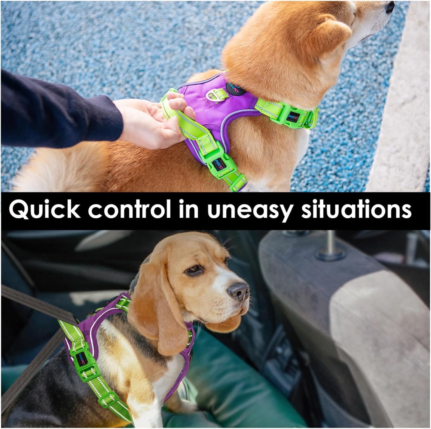 PHOEPET No Pull Dog Harness, Unique Colors Reflective Adjustable Dog Vest, with Soft Training Handle Metal Clips for Small Medium Large Dogs (Purple Base & Green Straps,M)