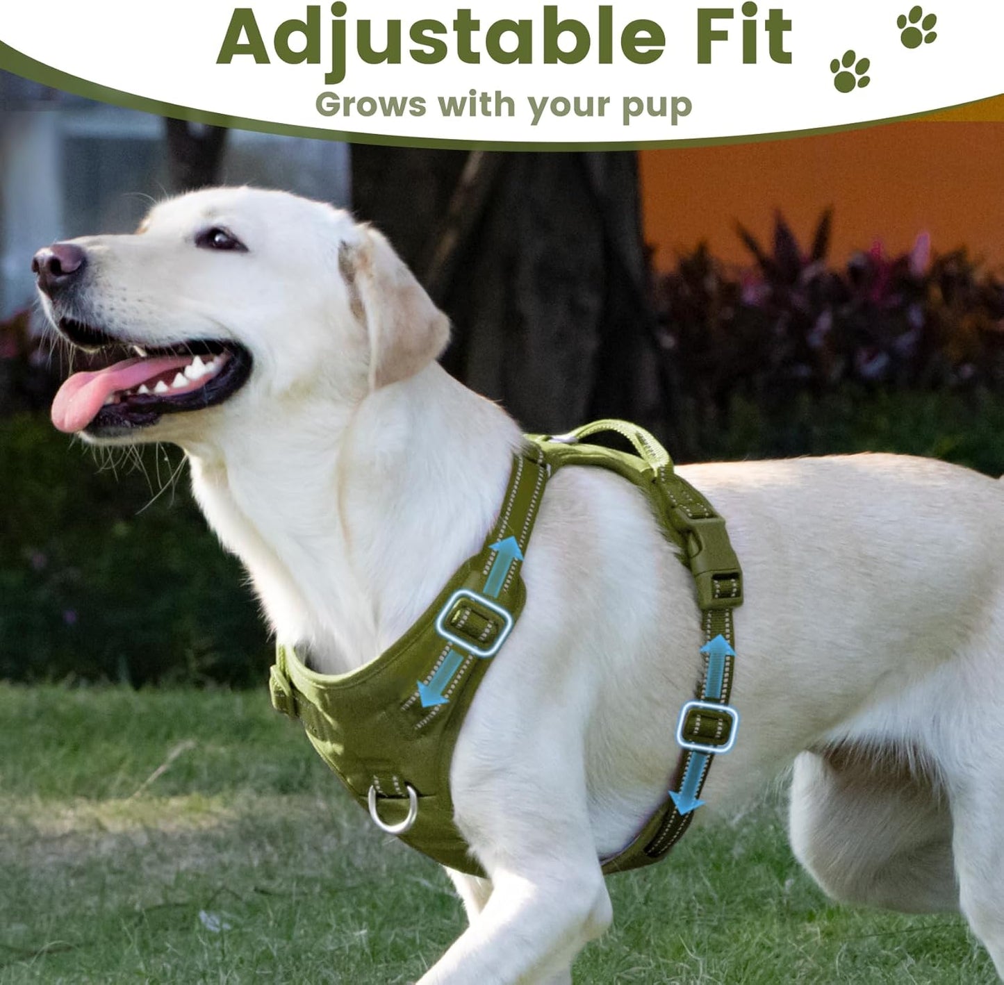 No Pull Dog Harness, Reflective Puppy Vest for Small Medium Large Sized Dog (Misty Green,S)