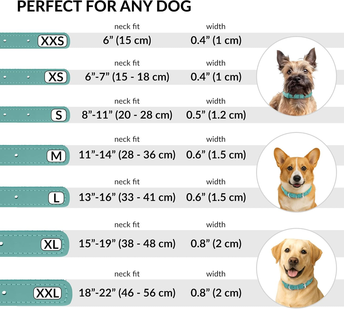 CollarDirect Rolled Leather Dog Collar, Soft Padded Round Puppy Collar, Handmade Genuine Leather Collar Dog Small Large Cat Collars 13 Colors (6 Inch, Mint Green Smooth)