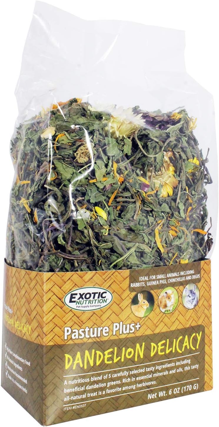 Pasture Plus+ Dandelion Delicacy - Healthy Natural High-Fiber Dried Flower Treat - Squirrels, Guinea Pigs, Rabbits, Chinchillas, Prairie Dogs, Degus, Hamsters, Gerbils & Other Small Pets