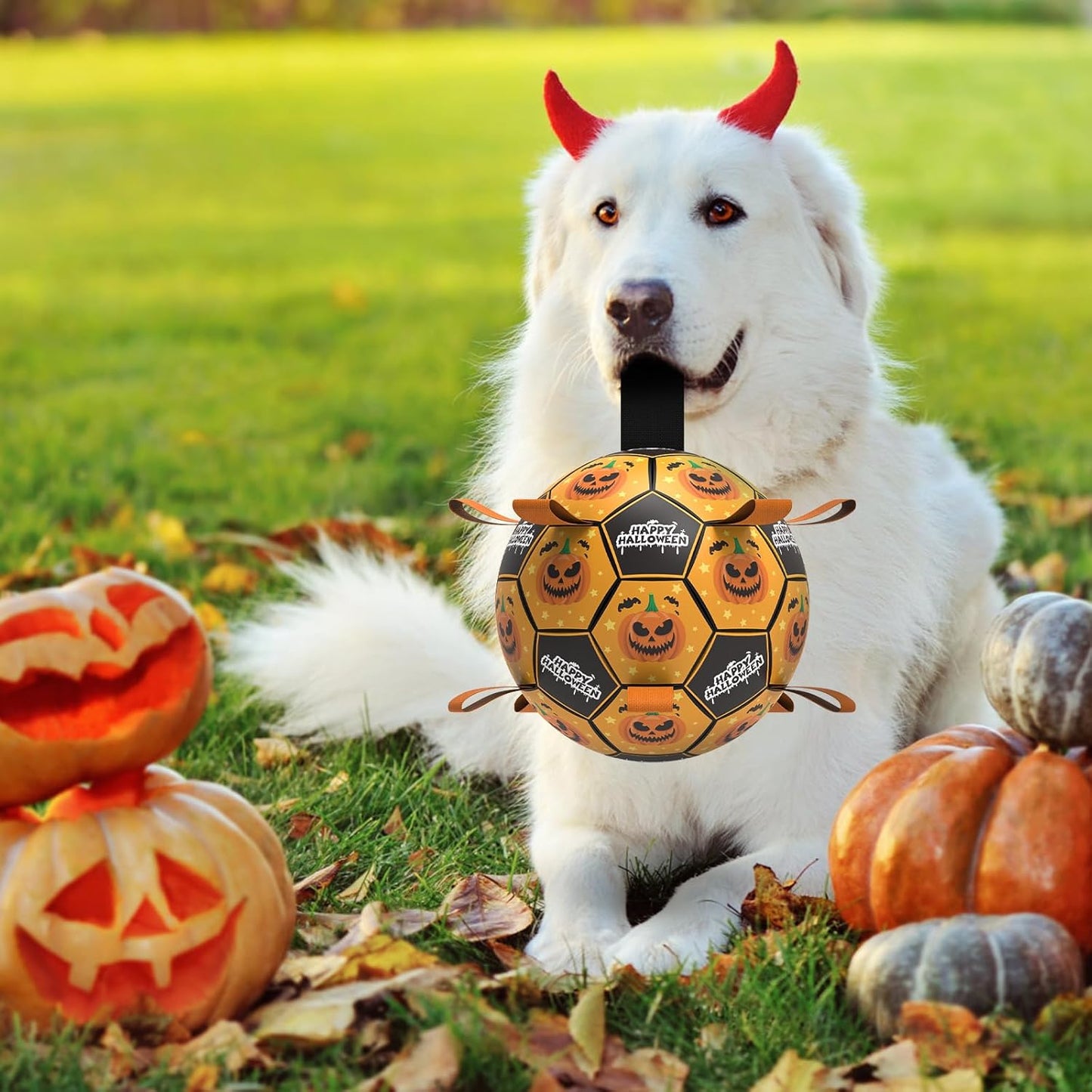 QDAN Halloween Dog Toys, Soccer Balls, Interactive Pet Toys, Puppy Dogs Birthday Gifts, Durable Dog Balls for Small Medium Dogs（6 Inch）