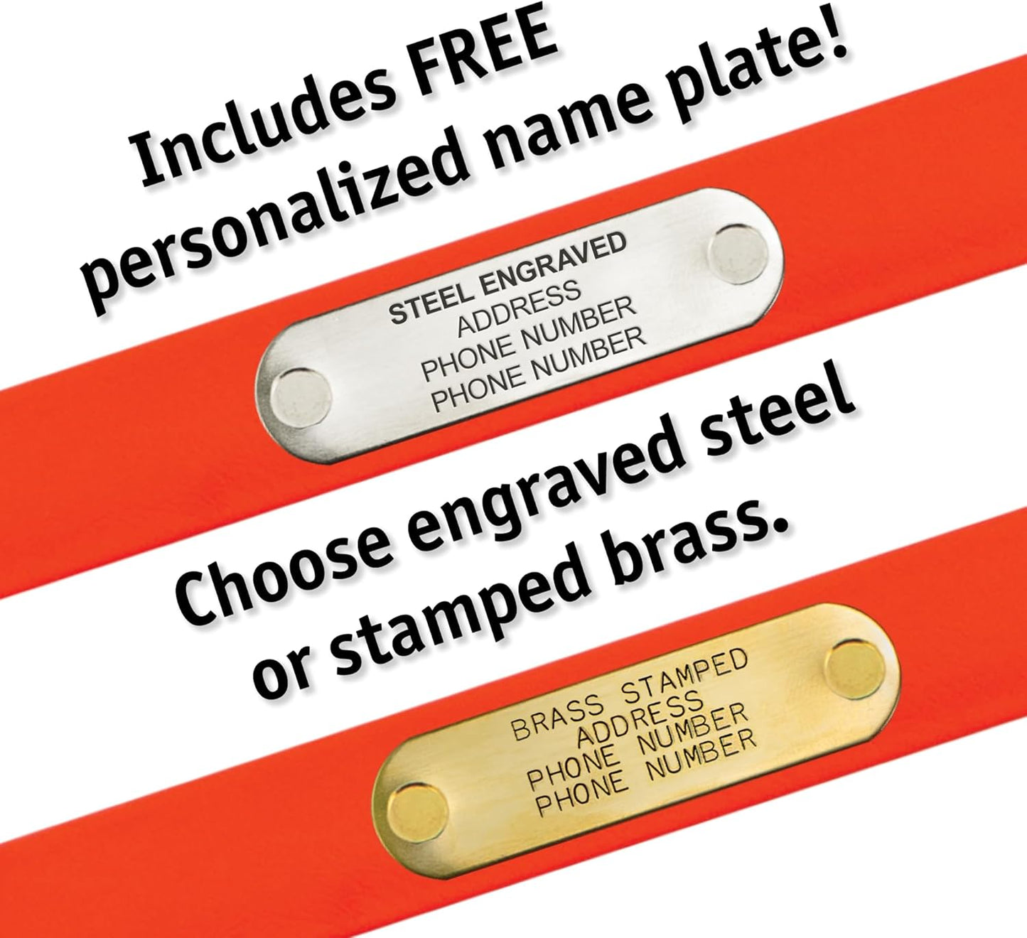 Biothane Custom Dog Collar – Waterproof, Stink-Proof Personalized Collar with Name & Phone Number – Durable, Many Sizes and Colors – Assembled in USA – Assembled in USA (Teal)