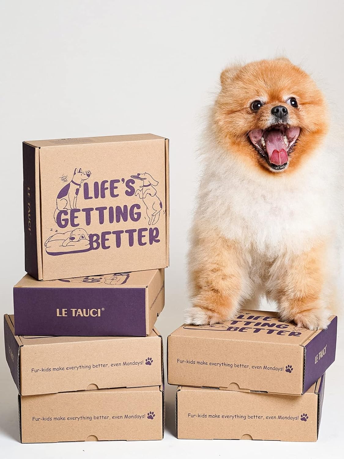 LE TAUCI Ceramic Slow Feeder Dog Bowls Small Breed, 0.6 Cups Dog Food Dish for Fast Eaters, Puzzle Bowl for Small Dogs and Cats,Sun Orange