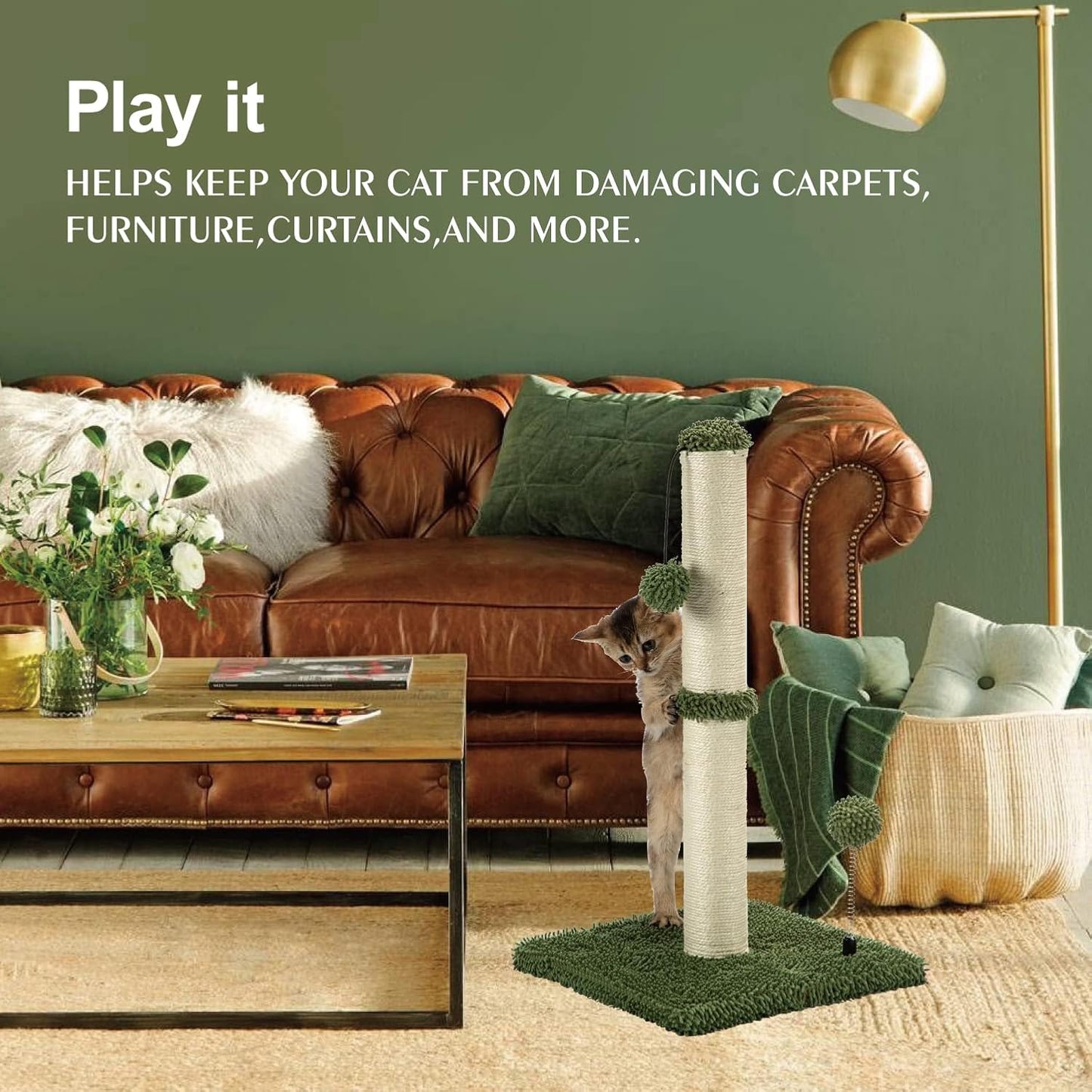 MECOOL Cat Scratching Post Premium Basics Kitten Scratcher Sisal Scratch Posts with Hanging Ball 22in for Kittens or Smaller Cats, Cactus Green