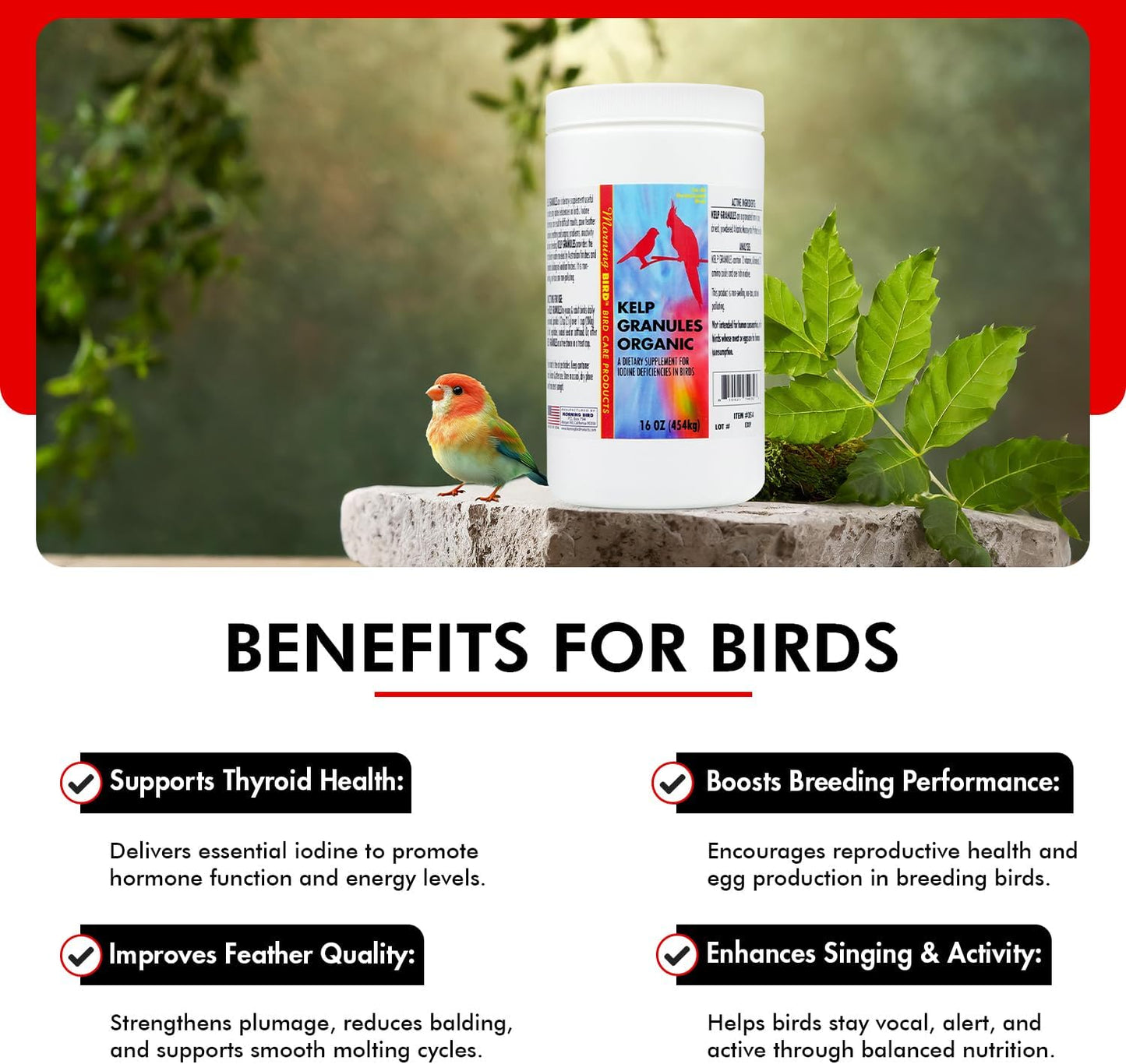 Morning Bird Kelp Granules 16 Oz – Iodine Supplement for Birds – Supports Feather Growth, Molting & Metabolism – Rich in Amino Acids, Trace Minerals & Natural Vitamins – Clean Nutrition for All Birds