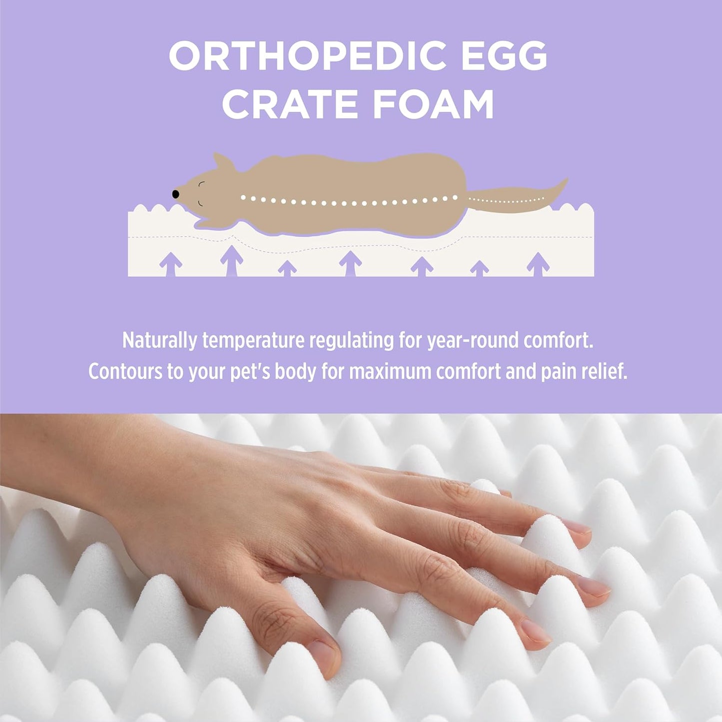 Lesure Human Dog Bed for Adult - Calming Human Size Dog Bed with Egg Foam Supportive Mat and Storage Pocket, Cute Modern Pet Beds with Jacquard Shaggy Plush & Anti Slip Bottom 55x37x10, Blue