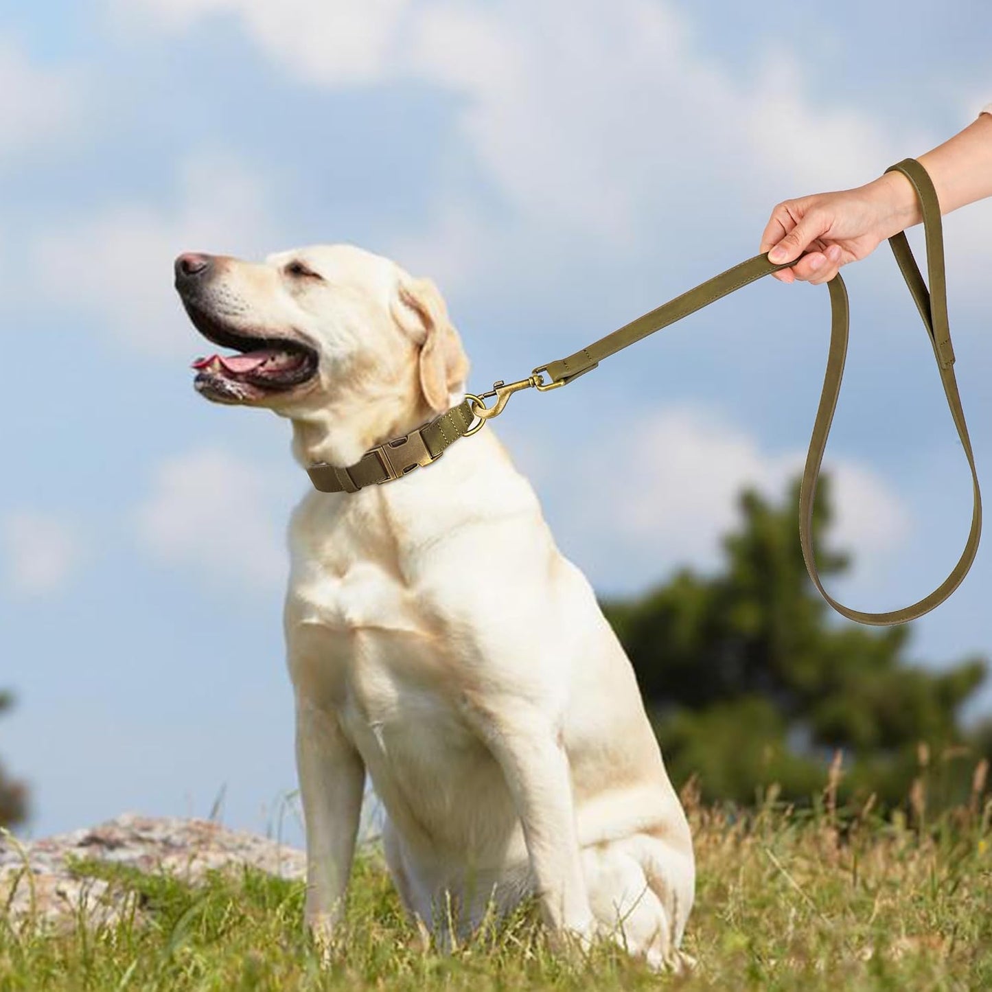 Didog Soft PU Leather Dog Collar, Stylish Quick Released Dog Collar for Large Dogs, Easy Clean Adjustable Pet Collar for Daily Walking, Dark Green, L Fit 15-23" Neck