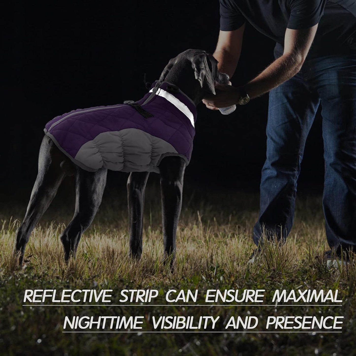 FUAMEY Dog Coat for Small Dogs,Waterproof Dog Winter Jacket with Harness Built in Puppy Cold Weather Coats Reflective Pet Vest with Zipper Warm Fleece Dogs Snowsuit Windproof Purple XS