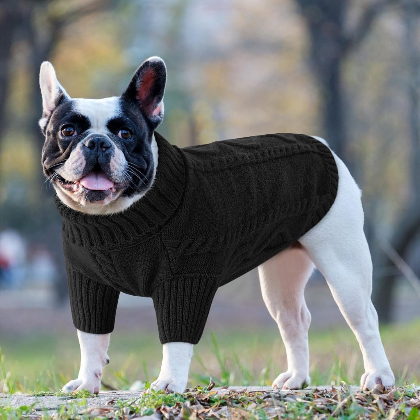 Queenmore Small Dog Pullover Sweater, Cold Weather Cable Knitwear, Classic Turtleneck Thick Warm Clothes for Chihuahua, Bulldog, Dachshund, Pug (Black, Small)