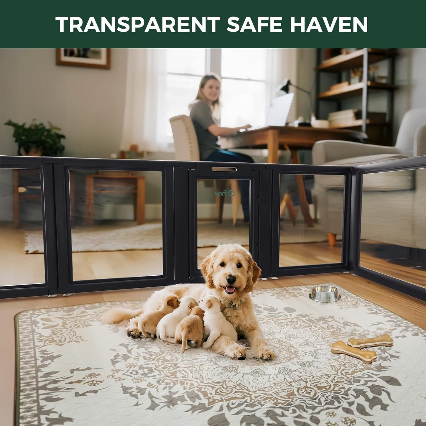 FXW AuraSpace Acrylic Indoor Unleashed Dog Playpen for Puppies and Small Dogs, 24 Inch, 10 Panels, Black