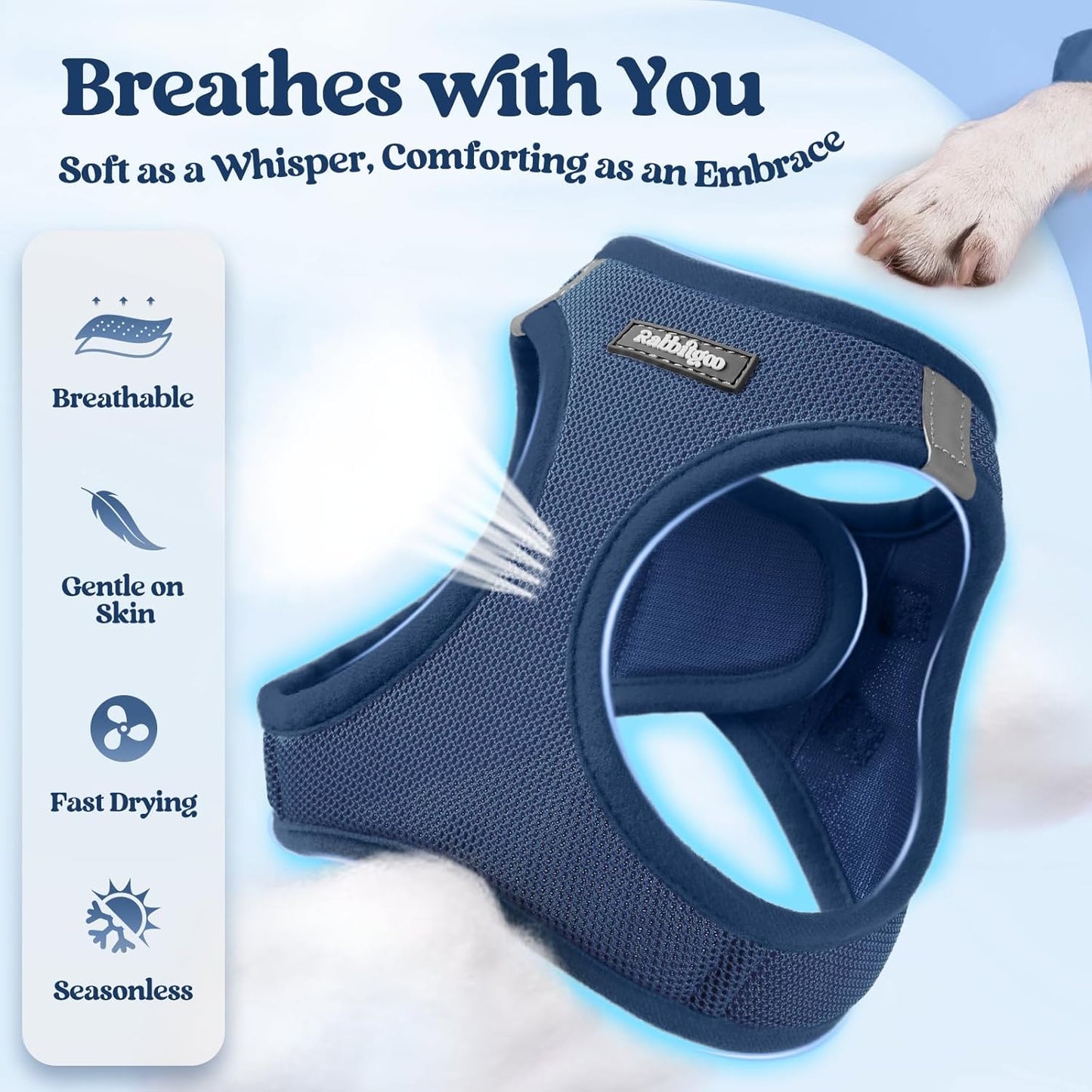 rabbitgoo Dog Harness Small Sized and Leash Set, Step in Soft Light Puppy Vest, Breathable Mesh Pet Harness, Reflective for Safe Outdoor Walking, Navy Blue M