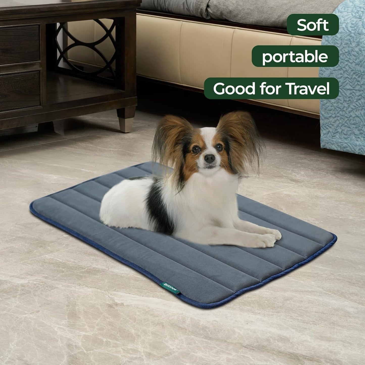 BALANCE Dog Crate Pad, Dog Foam Crate Mat Kennel Pad, Washable Water-Resistant Pet Bed Flat Dogs Cage Mat for Medium Dogs, 2 Packs