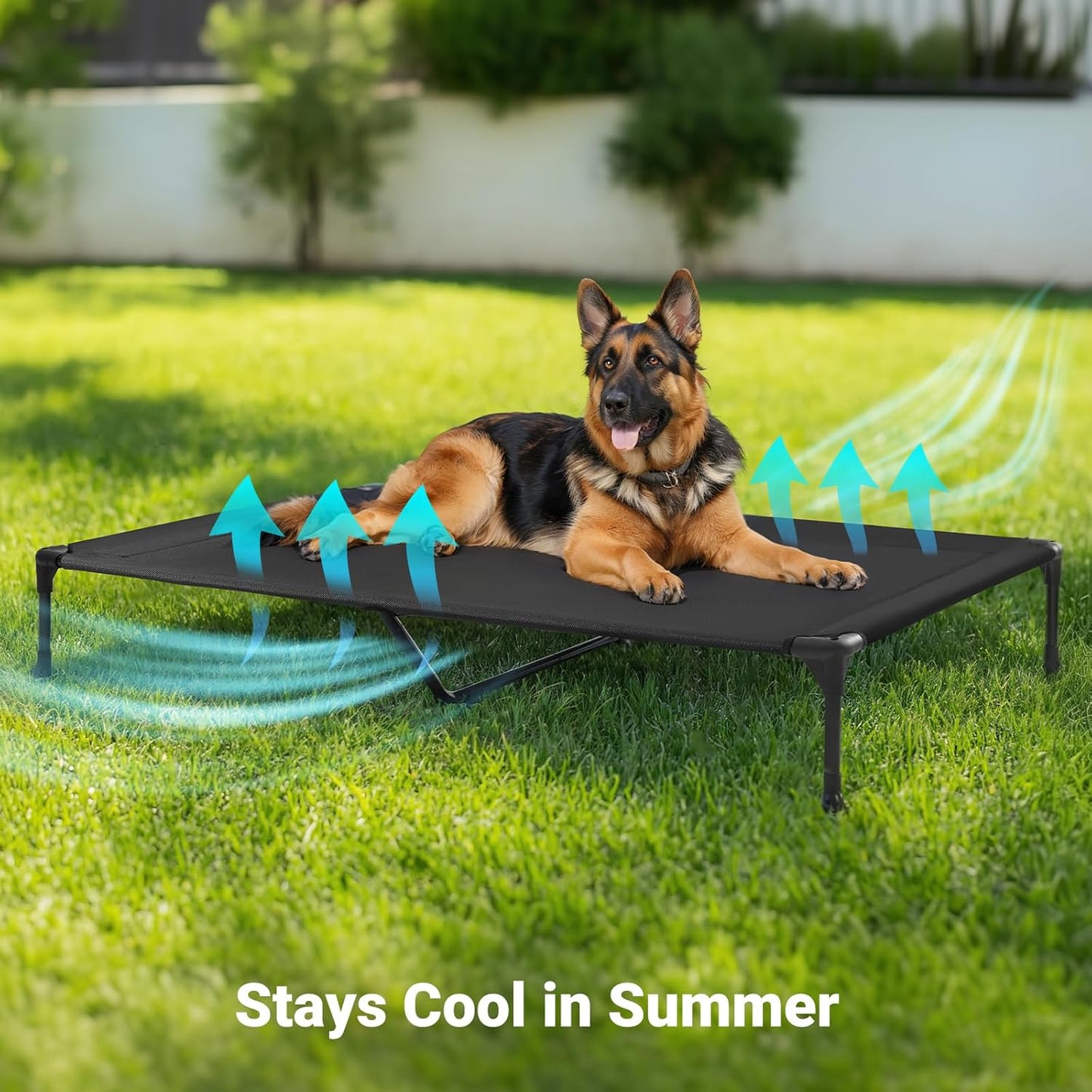 Veehoo Outdoor Elevated Dog Cot Bed, Cooling Raised Pet Bed for X-Large Dog, Washable Breathable Mesh Hammock Bed with No-Slip Feet, Indestructible Ground Off Training Platform Cot-49"x33"Black Silver