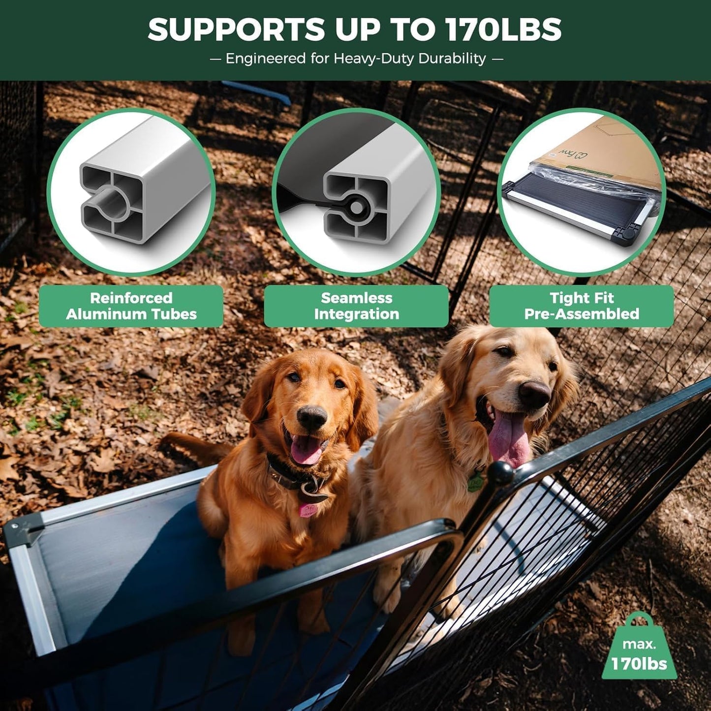 FXW TitanNest Chew-Proof Elevated Dog Bed, Raised Cot for Indoor/Outdoor/Camping Use, Durable & Washable Padded Pet Bed for Toy Dogs, 23.0" L x 17.0" W x 4.5" H, Black