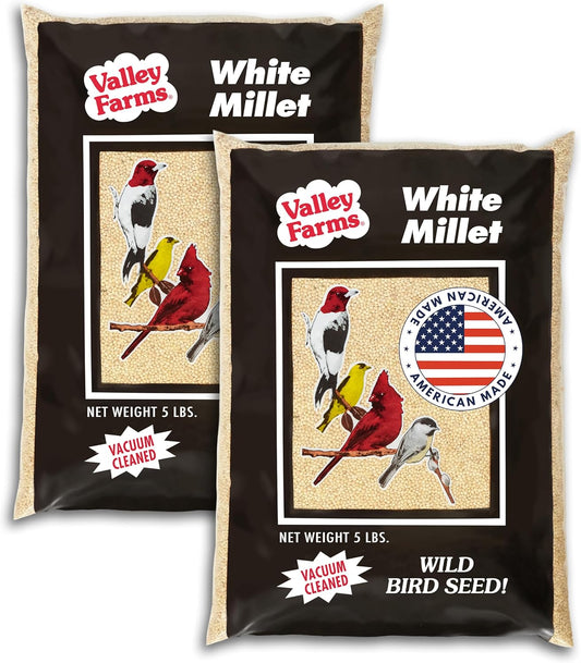 Valley Farms White Millet Wild Bird Seed 5 LB 2-Pack (10 LB Total) for Outside feeders, White proso Millet, Bird Watcher Secret Wild Bird Food
